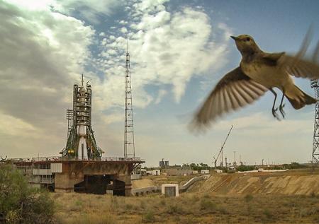 Роскосмос спустился с небес на землю