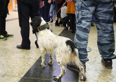 Девушка из Варшавы привезла экстези в Шереметьево