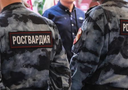 Ведомственные охраны Минсельхоза и Минэнерго включат в состав Росгвардии
