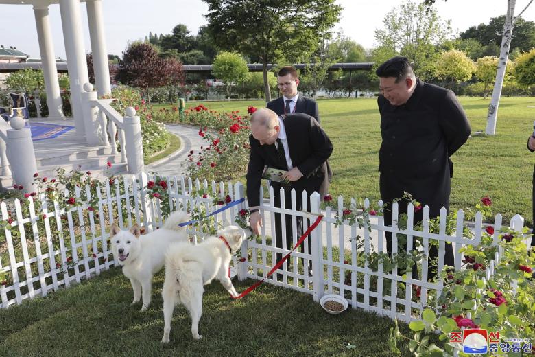 Президент России Владимир Путин и лидер КНДР Ким Чен Ын с собаками пхунсан