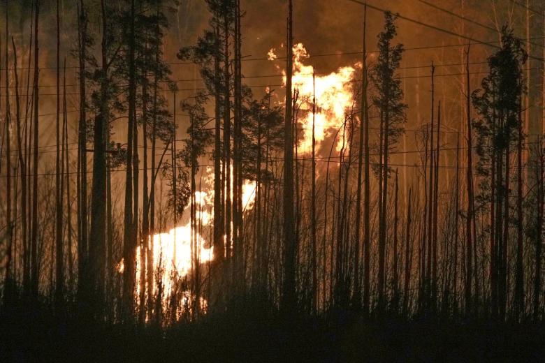 Пожар на газопроводе во Всеволожском районе Ленинградской области