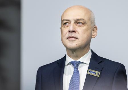 Глава МИД Грузии счёл неприемлемым референдум о вхождении Южной Осетии в РФ