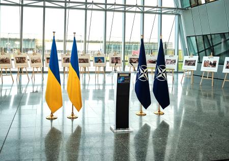 Названо число стран НАТО, поддерживающих членство Украины в Альянсе
