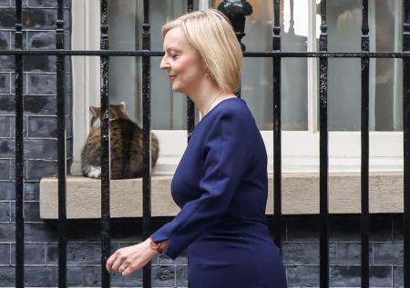 Daily Mail рассказала, сколько номеров телефона сменила Трасс из-за хакеров