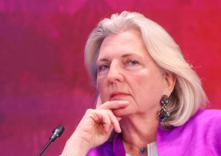 Экс-глава МИД Австрии рассказала о поставках оружия в Сирию и на Украину