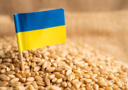 Медведев: в голове у недоумков из G7 «м'яке жовто-блакитне гівно»