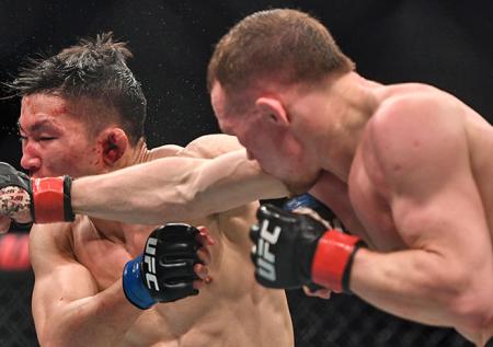 В России впервые прошёл турнир UFC