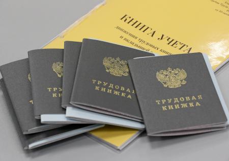 Электронные трудовые книжки одобрили меньше половины россиян