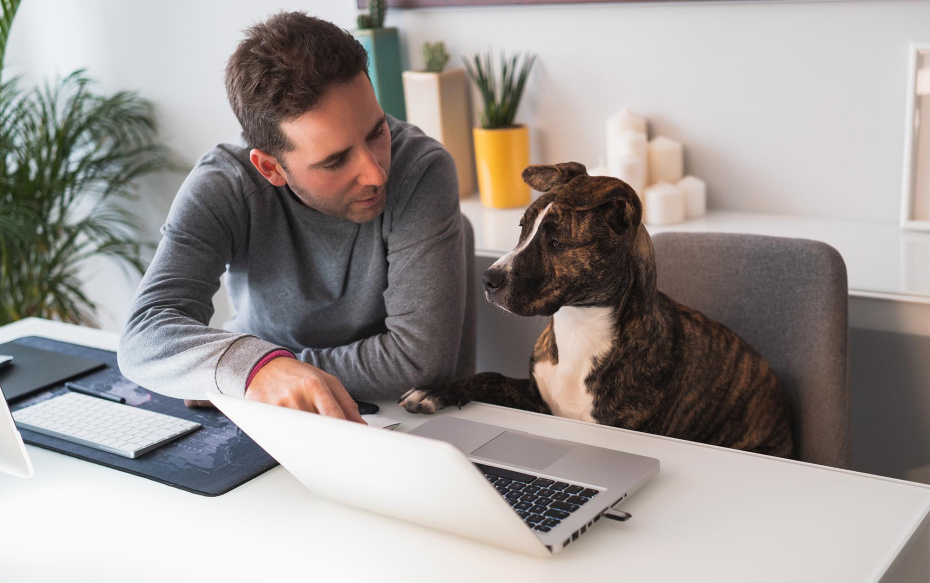 «Ты плохой»: что будет, если животные заговорят на человеческом языке?