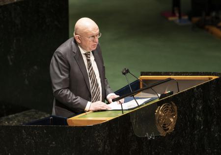 «Знаете, что вы украинец?»: Небензя коллеге из Франции в СБ ООН