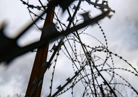 Украина отправила Литве тонны колючей проволоки для строительства «стены»