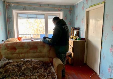 СК возбудил дело об убийстве после исчезновения девочки в Вологде
