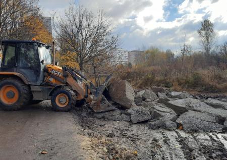 Не нужно превращать его в парк: экологи против урбанизации Битцевского леса