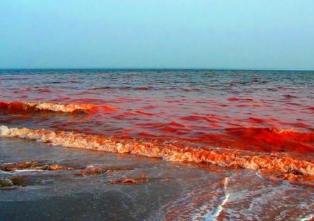 В Анапе Черное море стало красным 