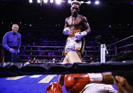 Чарло нокаутировал Хогана и отстоял титул WBC