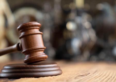 Стало известно о наказании для хозяйки растерзавших первоклассницу псов
