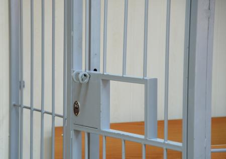 Школьнику грозит 10 лет тюрьмы за опасных «кумиров»