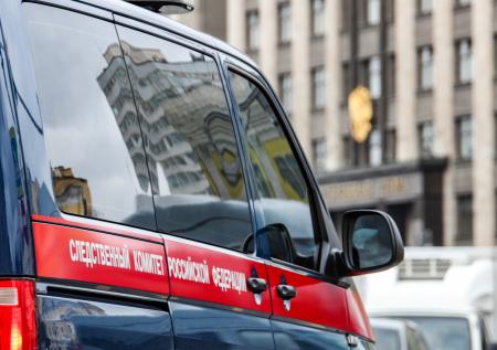 СК проверяет Хрюшу-фашиста, Степашку-нациста и Оксану Фёдорову