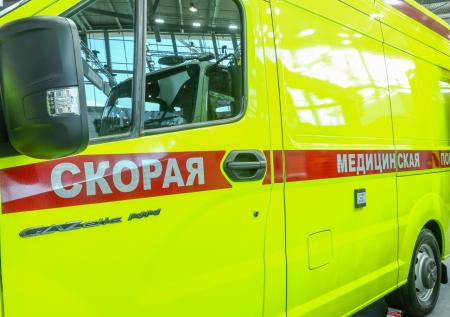 Акробат сорвался с высоты на цирковом представлении в Ростове