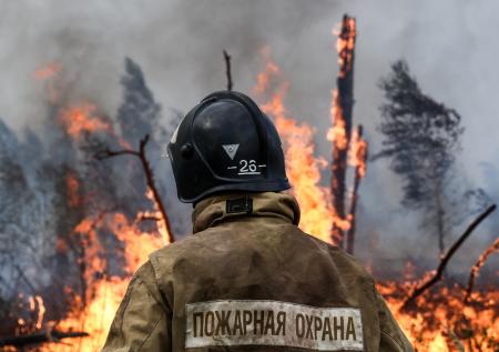 На старых дровах: почему ситуация с пожарами 2010 года повторилась вновь