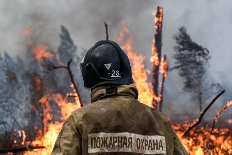Тушение лесного пожара. Рязанская область