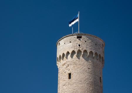 Посольство РФ в Эстонии раскритиковало установку памятника «лесным братьям»