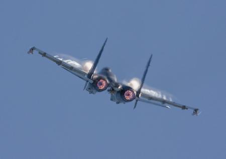 Российские Су-35 и Ту-95МС сыграли в прятки с ПВО 