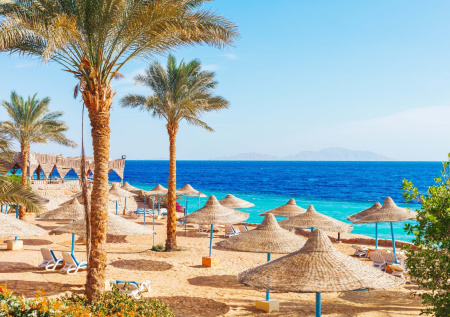 Россиянам назвали самые горячие направления новогоднего туризма