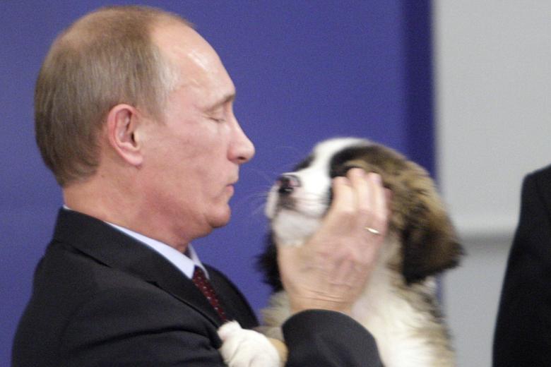 Владимир Путин держит на руках щенка болгарской овчарки