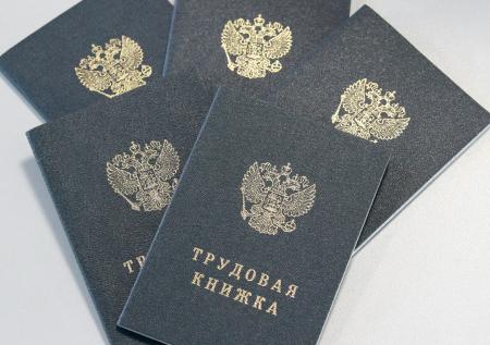 Депутат оценил риски введения электронных трудовых книжек
