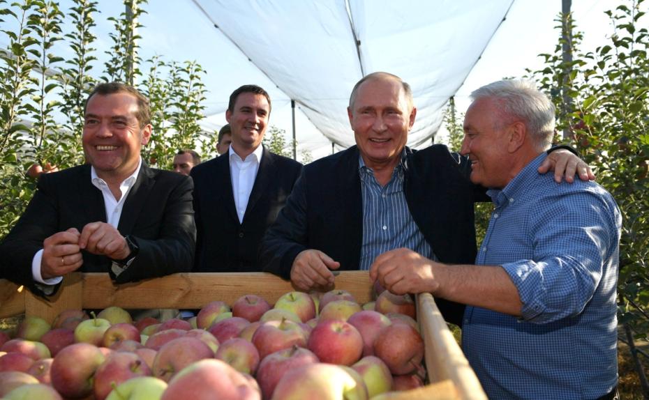 Во время посещения Владимиром Путиным и Дмитрием Медведевым сельхозпредприятия «Рассвет», работники хозяйства подарили ему яблоки и саженцы яблонь, 2018 год