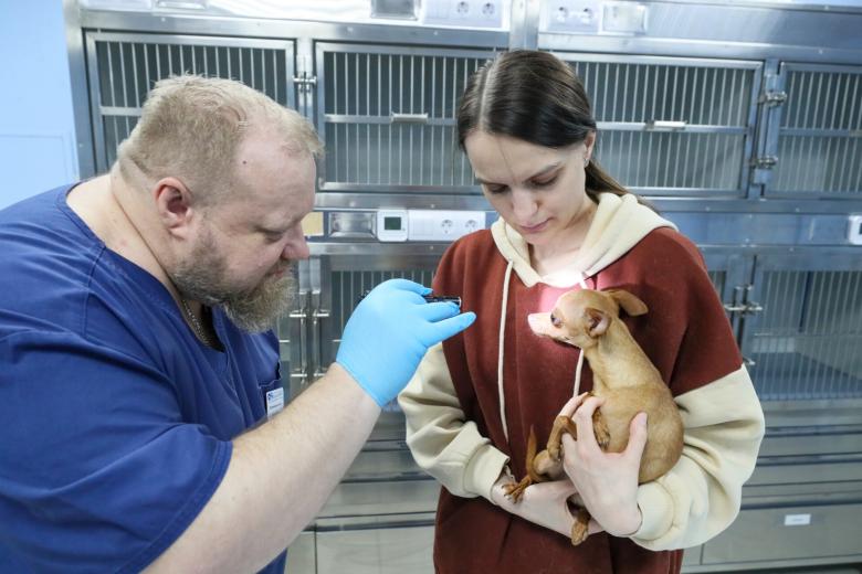 Осмотр собаки в ветеринарной клинике