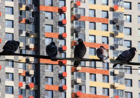 В России продлили льготную IT-ипотеку до 2030 года