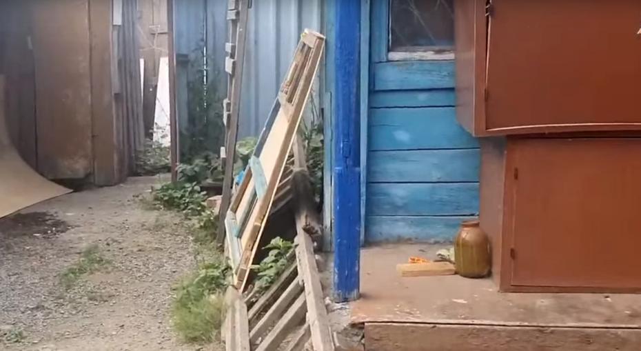 Дом Владимира Ческидова