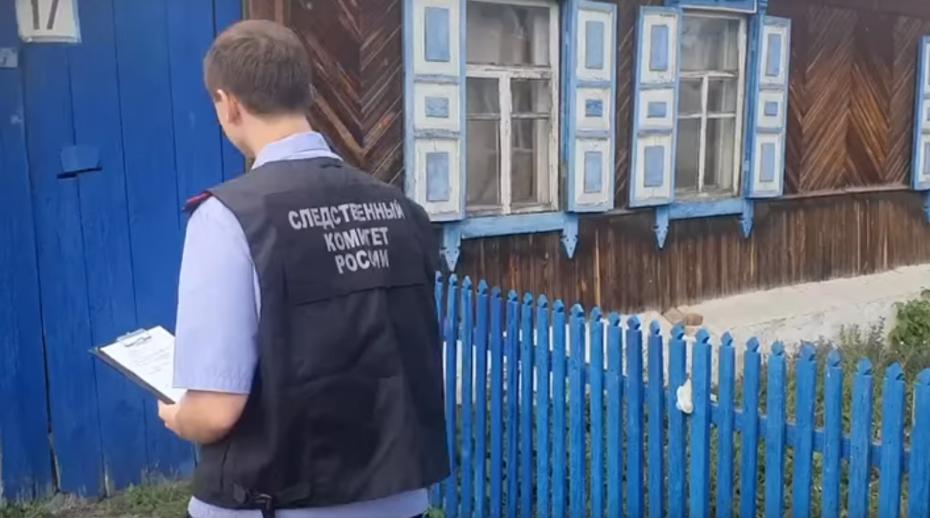 Дом Владимира Ческидова