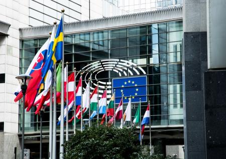 Европарламент обнародовал петицию русскоязычных жителей Финляндии