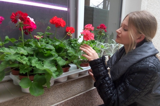 Аделина Шелдон