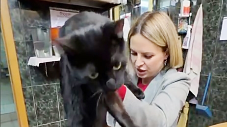 Светлана Акулова и кот Симба