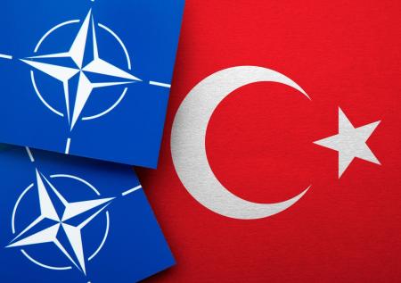 Уйдем мы от вас: турецкая партия Vatan рассказала, почему она против НАТО