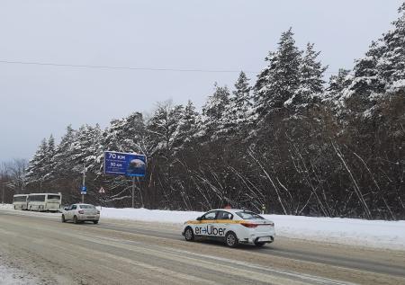 Не хотят как в Париже: чем опасно уничтожение векового леса в Раменском
