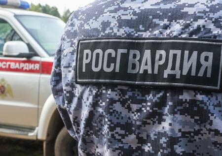 Росгвардия поможет ловить безбилетников в транспорте российского города