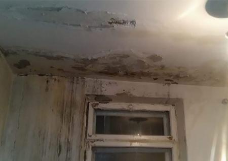 Больница под Волгоградом приводит пациентов в ужас