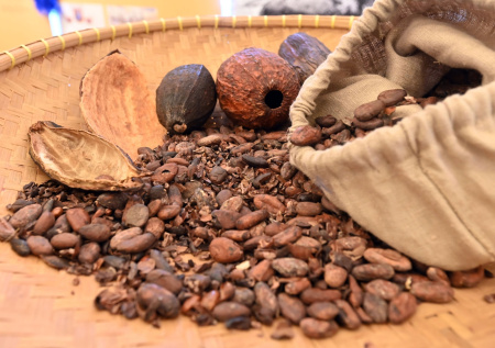 Цена какао-бобов упала впервые с 2023 года
