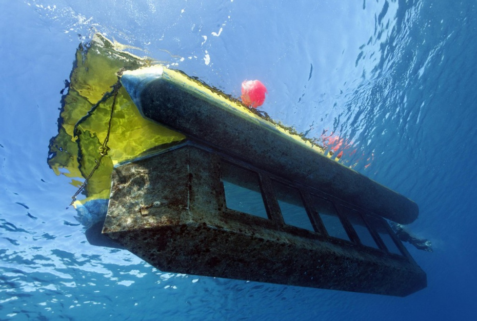 Число погибших при крушении батискафа в Египте увеличилось