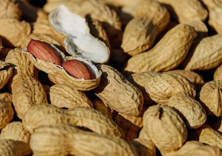 Учёные МИФИ рассказали о методе выявления яда в продуктах питания