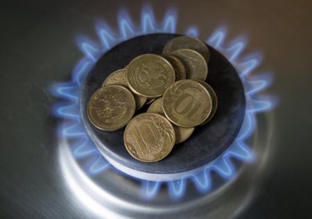 Глава ЕР уточнил, кто имеет право на бесплатную газификацию дома
