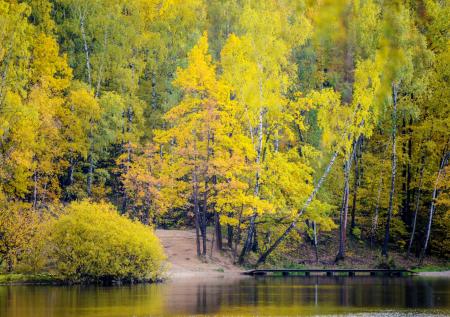 Какие приметы есть на сегодня, 22 сентября: что можно и нельзя делать