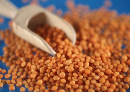 Малышева назвала самый недооцененный россиянами продукт