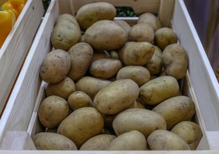 Устойчивый к болезням картофель создали в России, отредактировав его геном