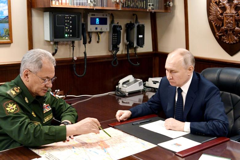 Сергей Шойгу, Владимир Путин